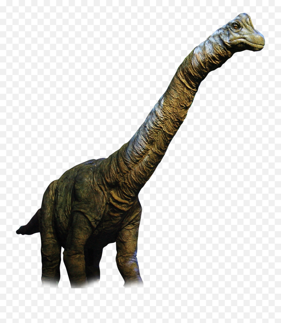 Download Dinosaur Png Background Images - Transparent Background Dinosaur Png Hd,Dinosaur Png