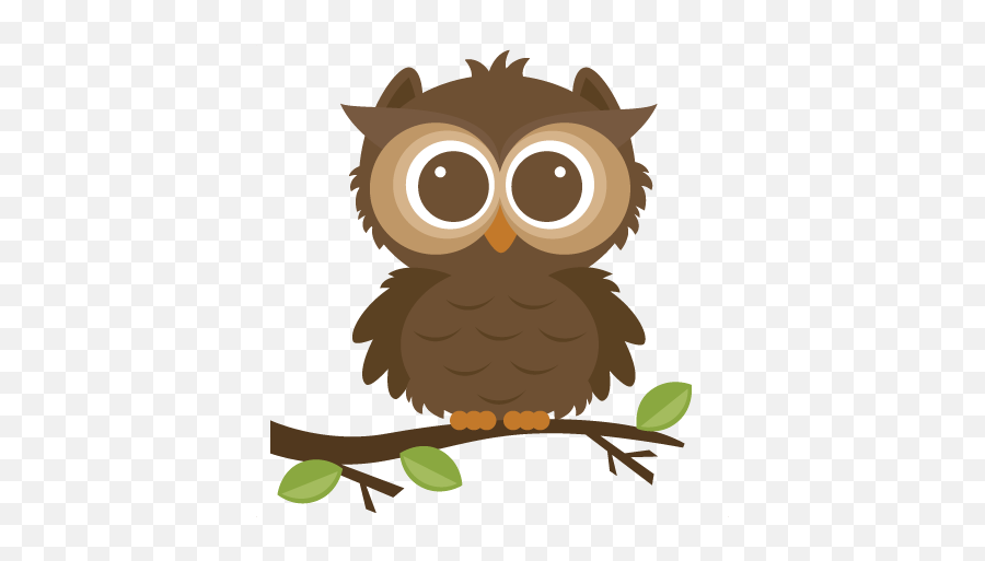 Owl Transparent - Owl Clipart Png,Owl Transparent