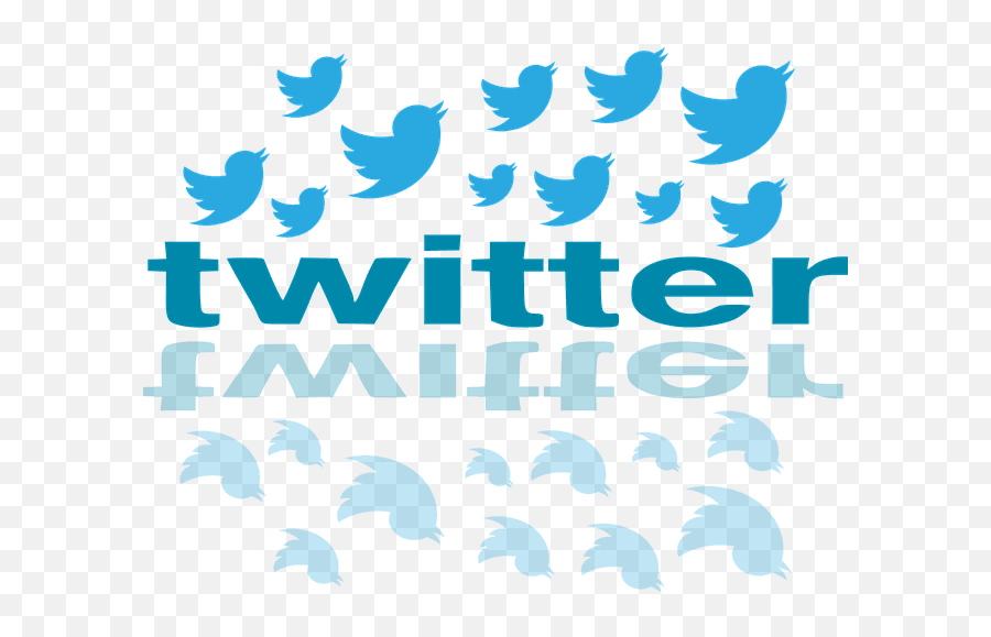 Does The Ratio Of Twitter Followers To Following Matter - Twitter Birds Png Transparent,Twitter Bird Png