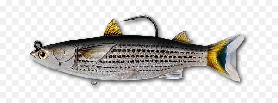 Livetarget Mullet Swimbait - Fishing Lure Png,Mullet Png