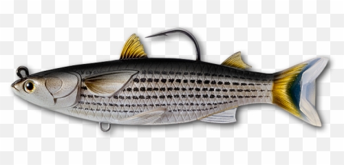 Livetarget Mullet Swimbait - Fishing Lure Png,Mullet Png
