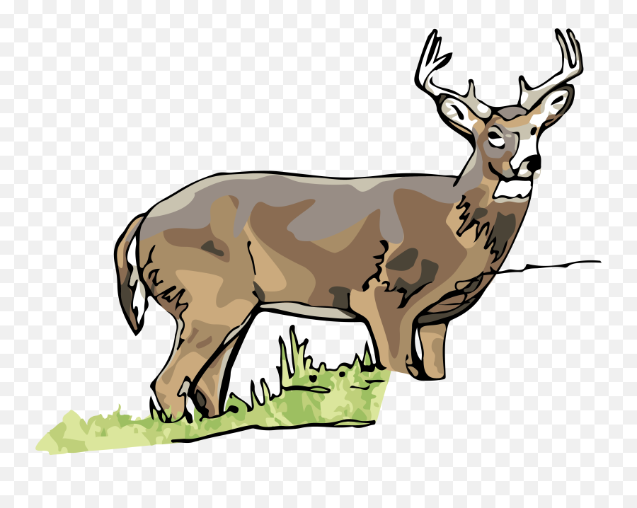 White Tailed Deer Clipart Illinois State - Deer Png Elk,Deer Png