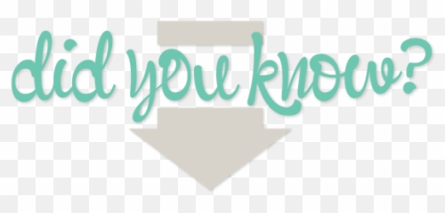Fact Sheet - Graphic Design Png,Did You Know Png