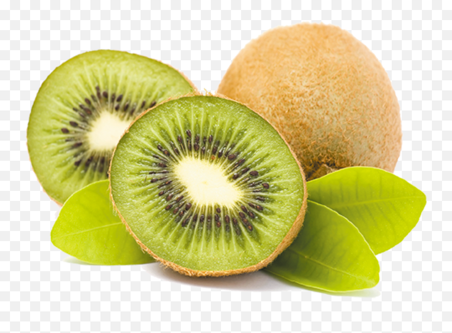 Kiwifruit Icon - We Strong Your Immune System Png,Kiwi Transparent