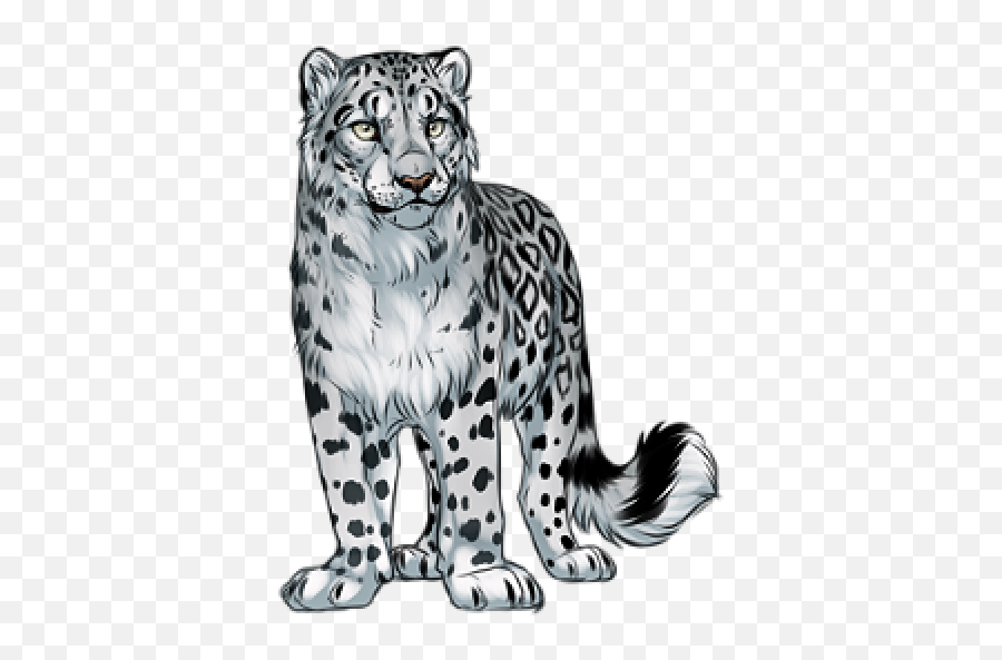 Png Snow Leopard - Snow Leopard Art Png,Snow Leopard Png