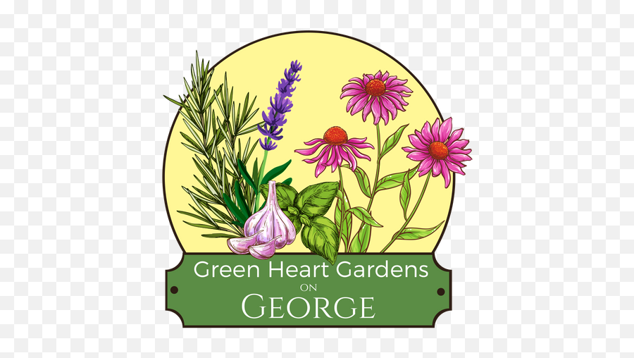 Green Heart Gardens - Alpine Aster Png,Green Heart Png
