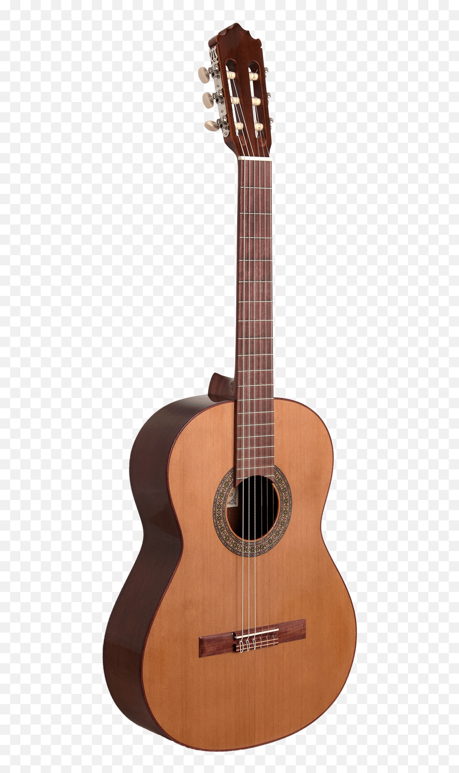 Home - Paco Castillo Constructor De Guitarras Pacific Guitar Png,Guitarra Png