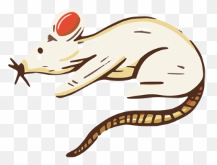 Transparent Png Svg Vector File - Clip Art,Rat Png