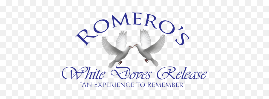 Dove Release White Releases - Waterfowl Png,White Doves Png