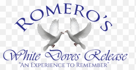 Dove Release White Releases - Waterfowl Png,White Doves Png