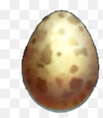Download Transparent Ostrich Clipart - Ostrich Egg Clipart Ostrich Egg Png,Ostrich Png
