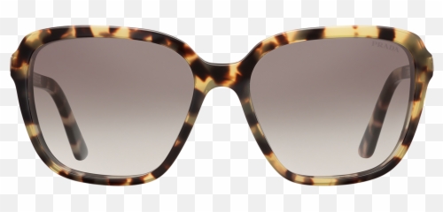 Prada Eyewear Collection - Oversized Tortoiseshell png