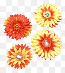 Moana Clip Art Pink Tropical Flower - Lovely png