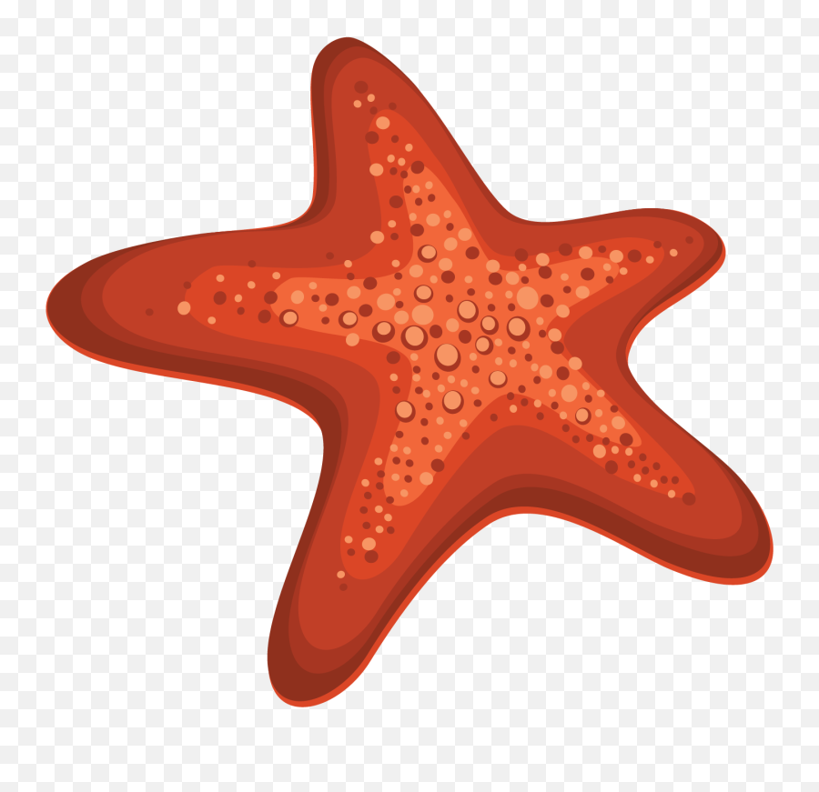 Starfish Png - Png,Starfish Transparent Background