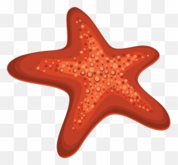 Starfish Png - Png,Starfish Transparent Background