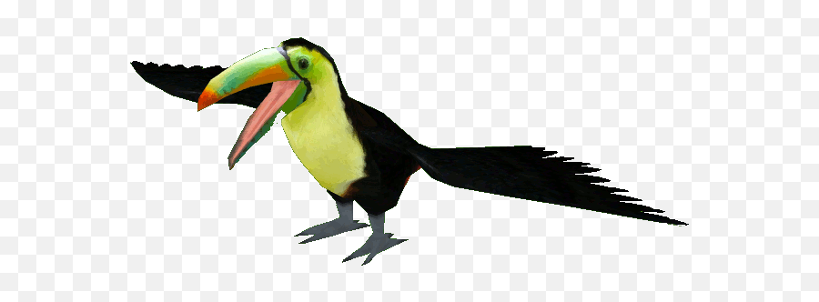 Keel Billed Toucan Png Image - Keel Billed Toucan Gif,Toucan Png