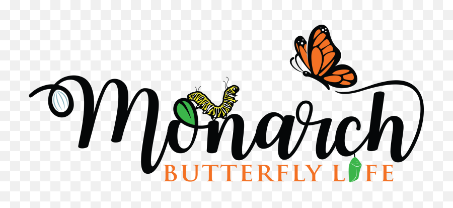 12 Monarch Diseases Parasites And - Caterpillar To Butterfly Logo Png,Caterpillar Logo Png