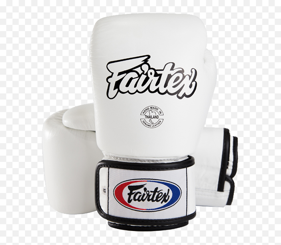 Thai Fairtex Boxing Set Leather Adult Original Muay - Fairtex Png,Boxing Glove Logo