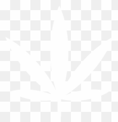 Home - Kindly Cannabis Sativa png