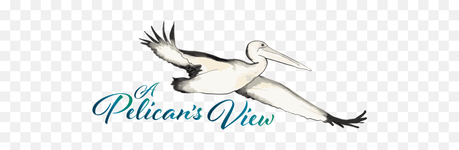 Welcome A Pelicanu0027s View - White Pelican Png,Pelicans Logo Png