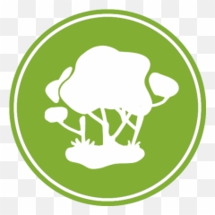 Home Amazonia Expeditions - Language png