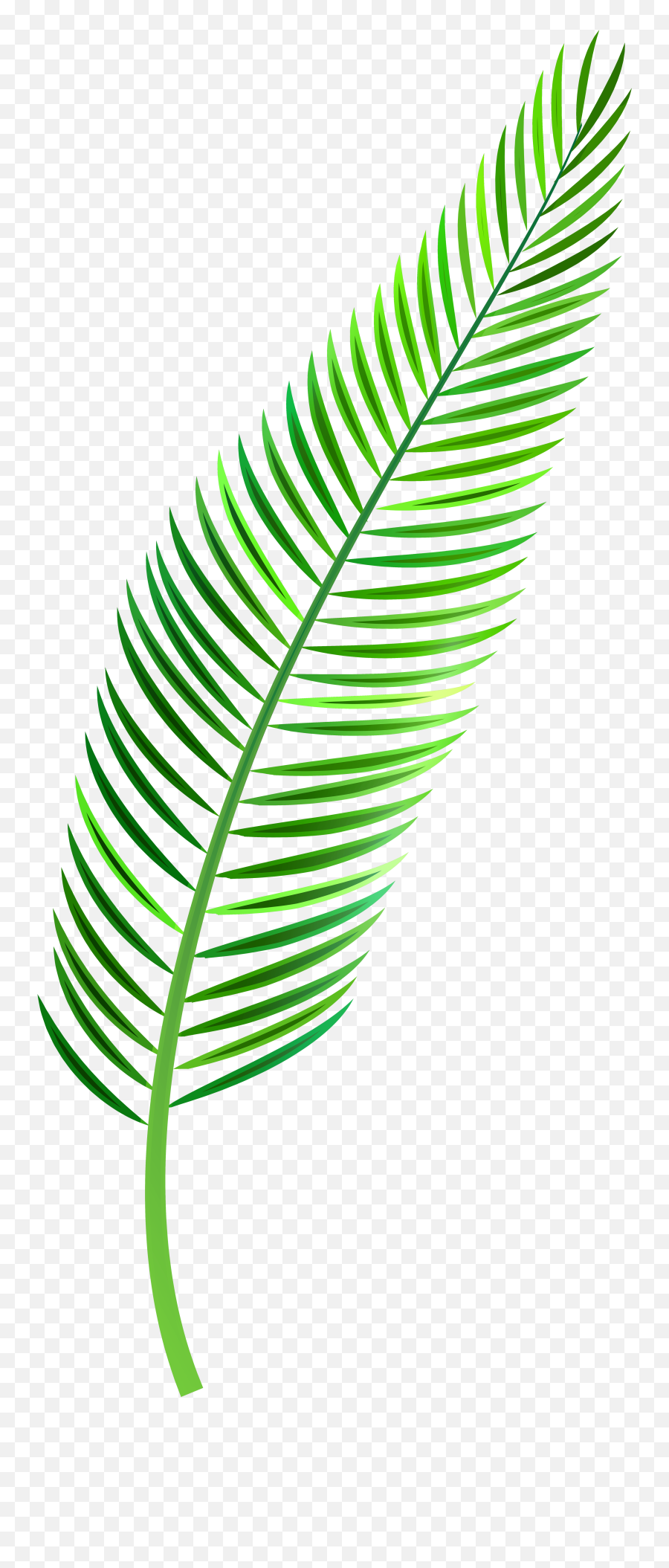 Tropical Leaf Transparent Png Clipart - Palm Leaf Clipart Png,Tropical Leaf Png