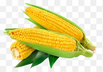 Download Hd Corn - American Sweet Corn Logo Transparent Png Corn Png,Corn Transparent