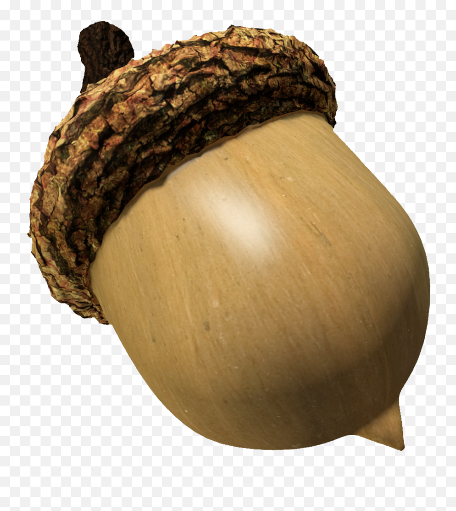 Acorn Png Image - Acorn Cap Transparent,Acorn Transparent Background