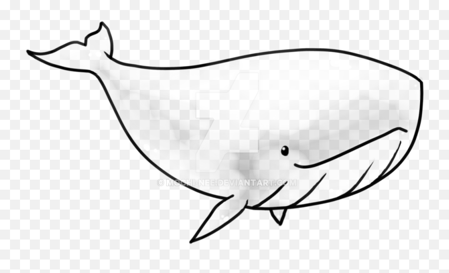 Killer Whale Outline Drawing Free Download - Cute Whale Transparent Png,Whale Transparent Background