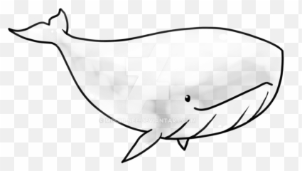 Killer Whale Outline Drawing Free Download - Cute Transparent png