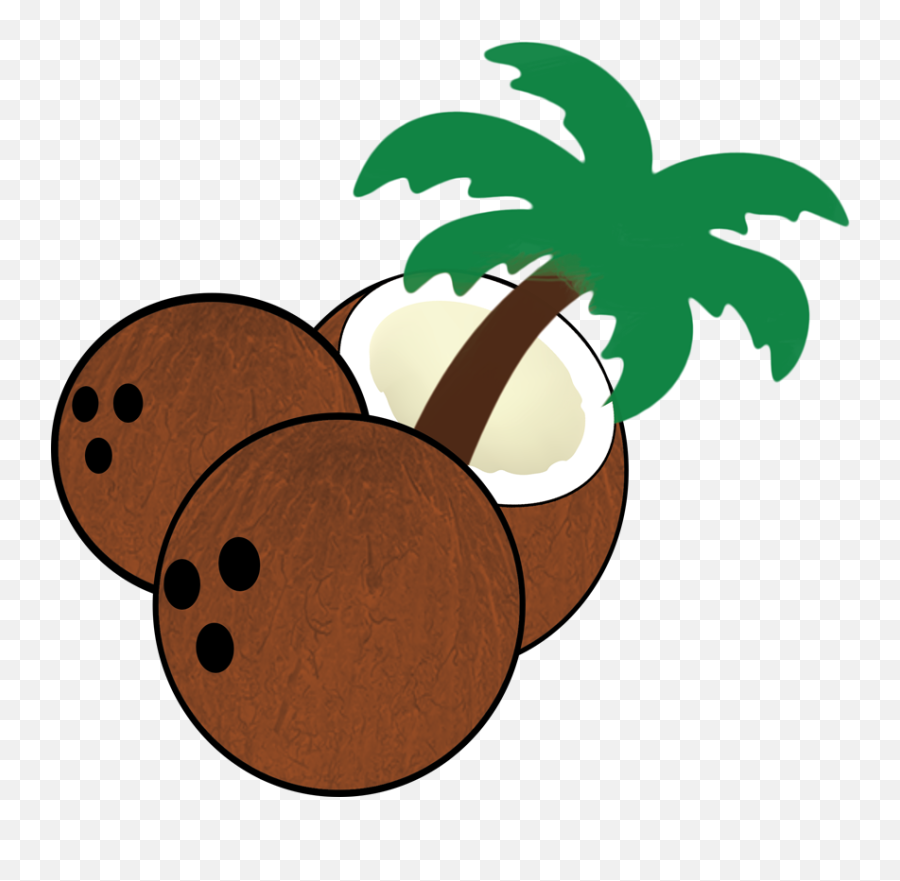 Home - South Florida Coconuts Coconut Seeds Clipart Png,Coconuts Png