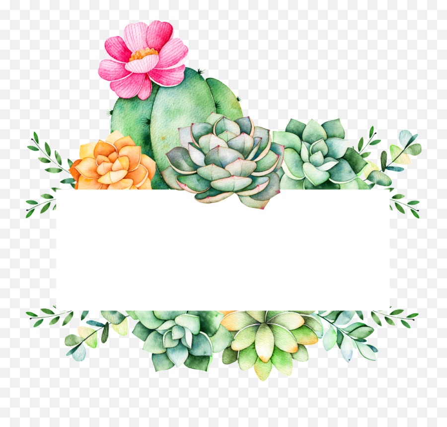 Grow Plants Cartoon Transparent - Cactus Succulent Transparent Background Png,Succulent Transparent Background