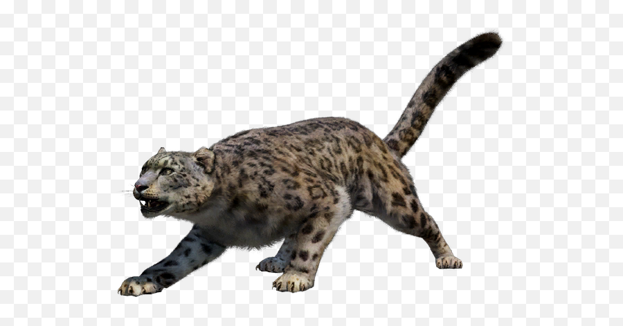 Snow Leopard - Far Cry 4 Leopard Png,Snow Leopard Png