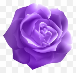 free lavendar rose clipart