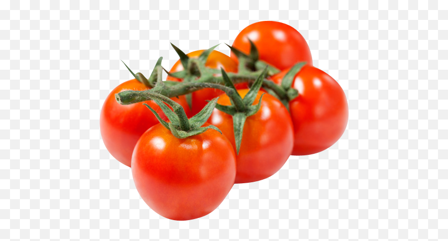 Cocktail Tomato - Levarht Group Of Tomato Png,Tomato Png