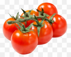 Cocktail Tomato - Levarht Group Of Tomato Png