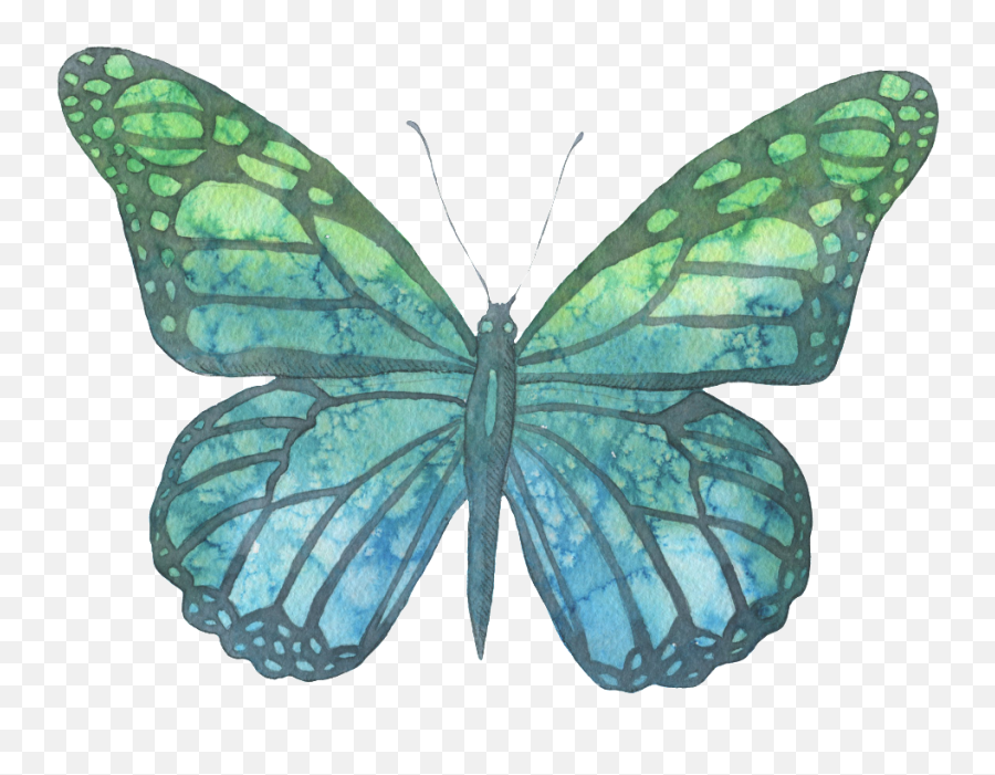 Blue And Green Hand Painted Watercolor - Blue Butterfly Brandy Melville Png,Watercolor Butterfly Png