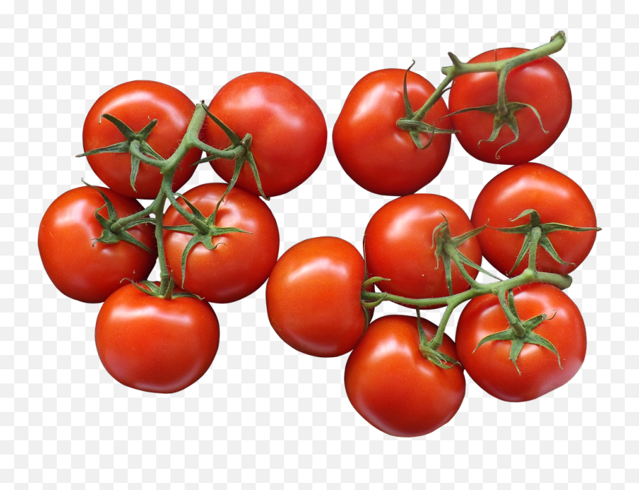 Tomatoes Trusses Packaging Transparent - Transparent Cherry Tomatoes Png,Tomato Transparent