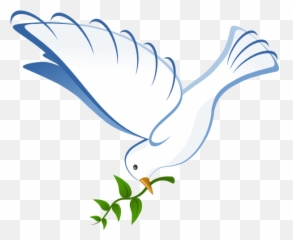 Download Hd Dove Clip Art Png - Vector Transparent Dove Png,White Doves Png
