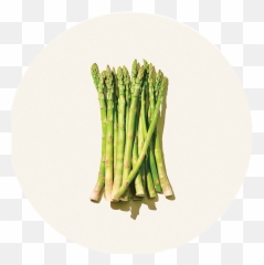 Full Size Png Image - Sparagus Transparent Background,Asparagus Png