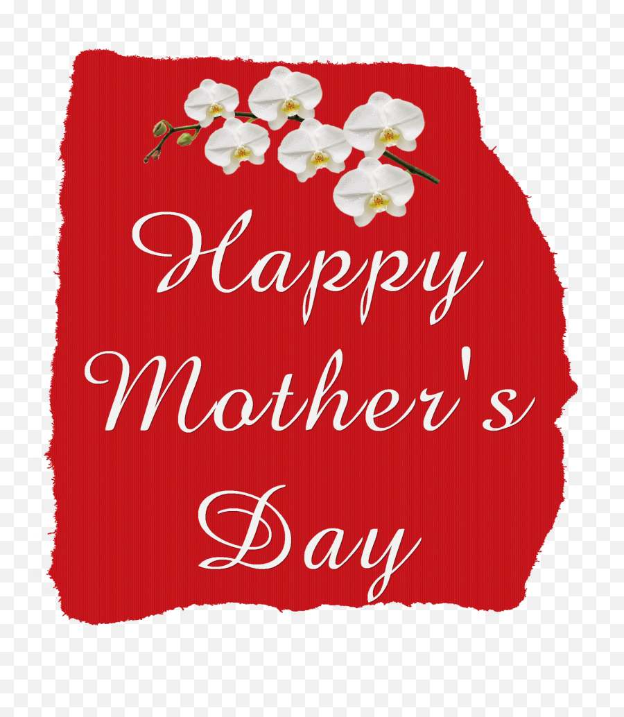 Happy Motheru0026039s Day - 7 Free Stock Photo Public Domain Raksha Bandhan Png,Happy Mothers Day Transparent Background