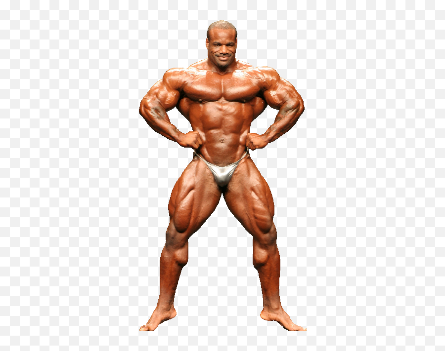 Body Builders Png Image With No - Body Builder Images Png,Body Builder Png
