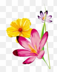Magnolia Flower Png - Magnolia Clipart Watercolor Flower Watercolor With Butterfly,Flowers Clipart Png