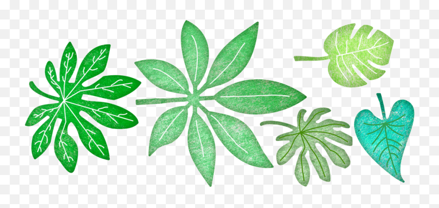 Tropical Leaves - Die Tropical Leaves Transparent Png Portable Network Graphics,Tropical Leaves Png