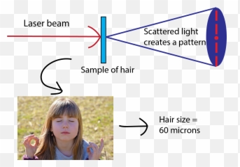Use A Laser Pointer To Measure The Thickness Of Your Hair - Measure Thickness Of Hair png
