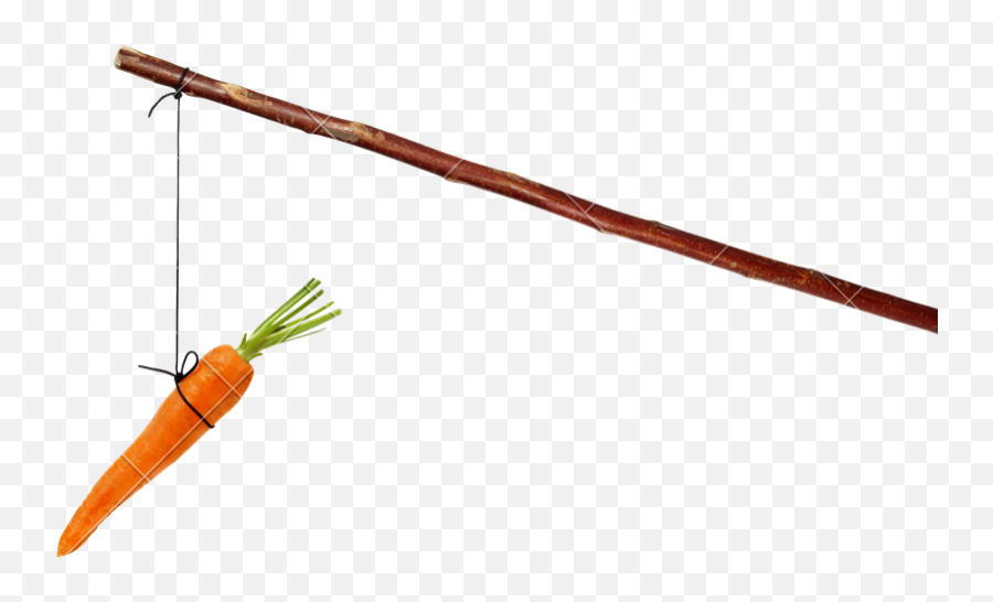 Carrot And Stick Png - Transparent Background Carrot On A Stick Png,Stick Transparent