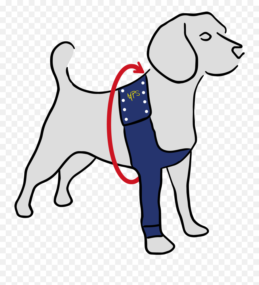 Mps - Taz Single Front Leg Sleeve Dog Medical Pet Shirts Right Front Leg Dog Png,Leash Icon
