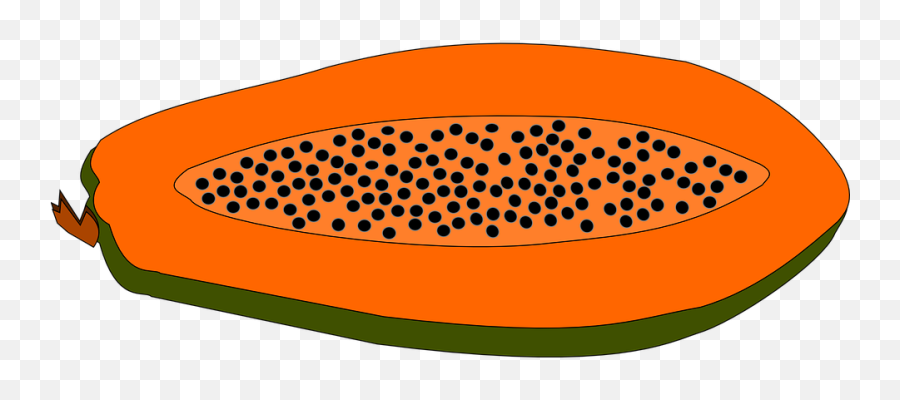 Free Photo Fruit Food Papaya - Labelled Diagram Of Transverse Section Of Pawpaw Png,Papaya Icon