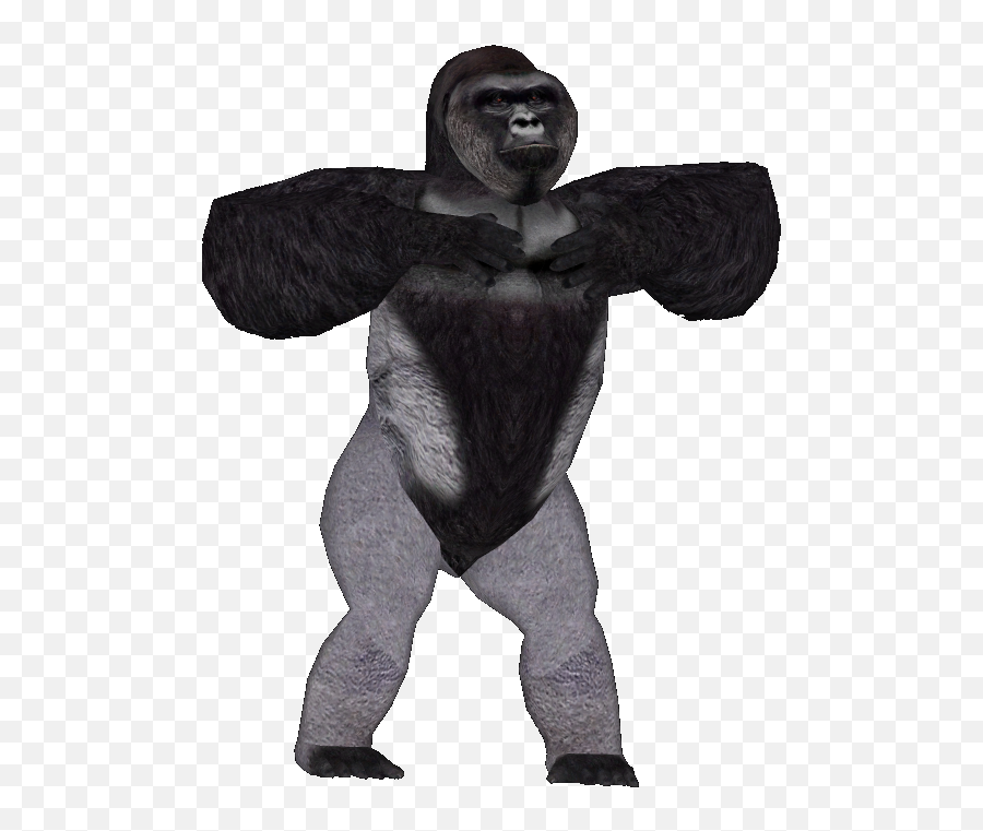 Harambe Transparent Png 8 Image - Harambe Transparent Background Png,Harambe Transparent