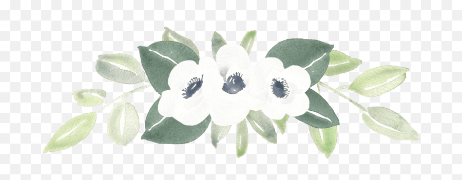 Cropped - Bengal Clockvine Png,Greenery Png